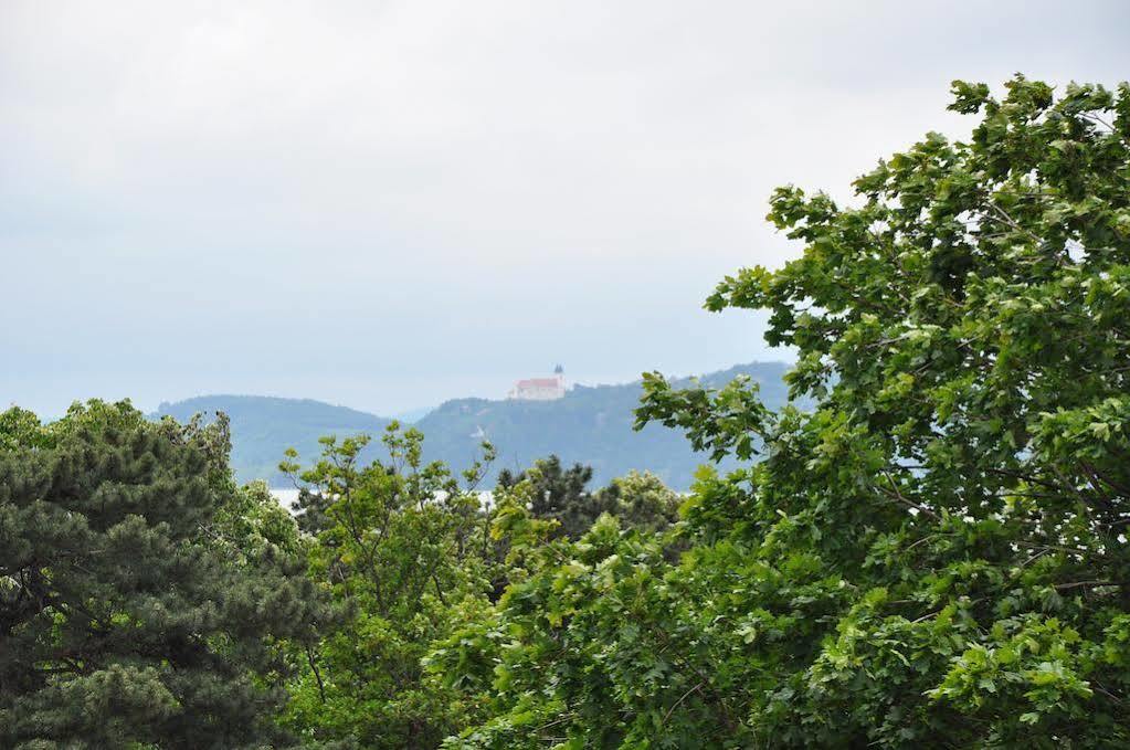 Villa Muzsa Deluxe Balatonfüred Eksteriør billede